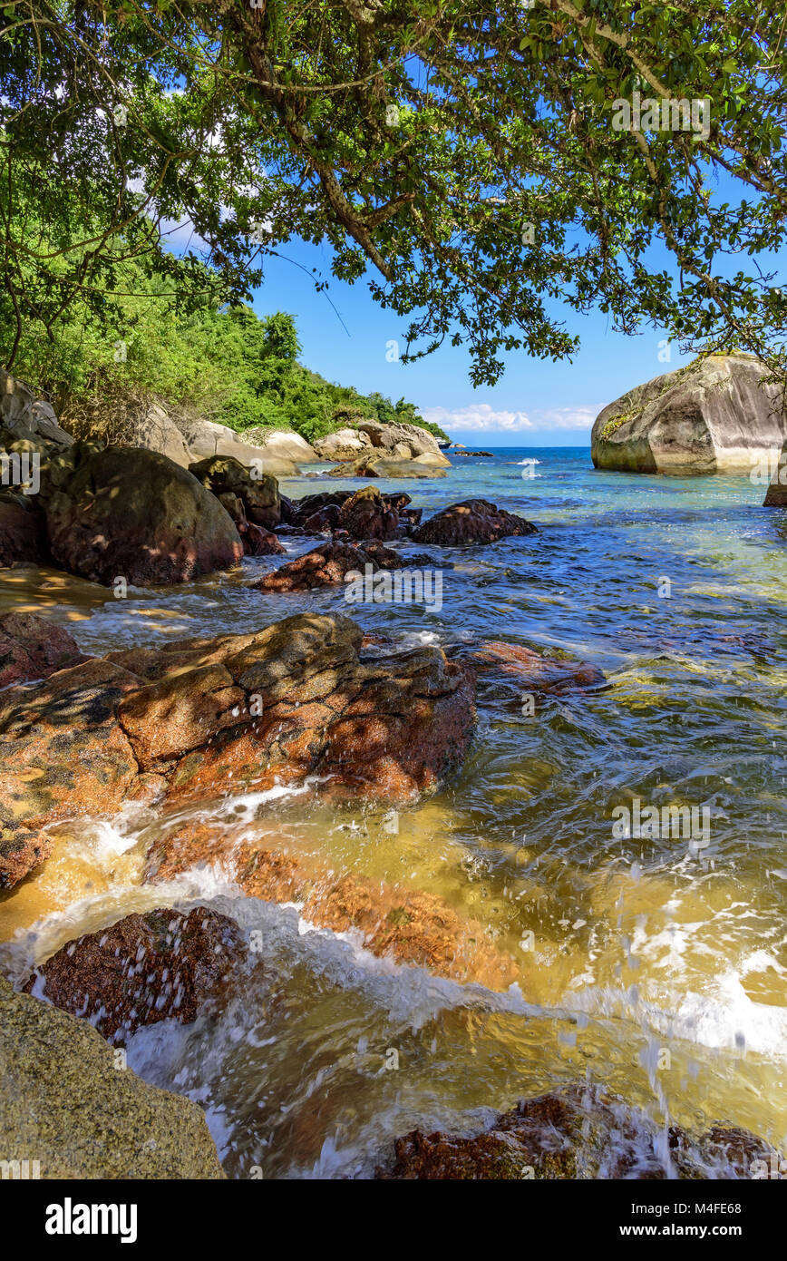 Deserted and unspoilt beach with forest Stock Photo