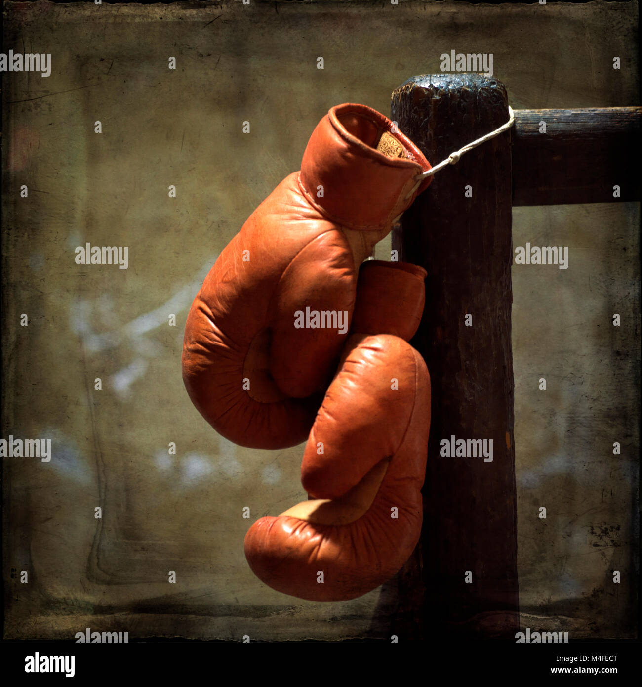 Pair of boxing gloves Stock Photo Alamy