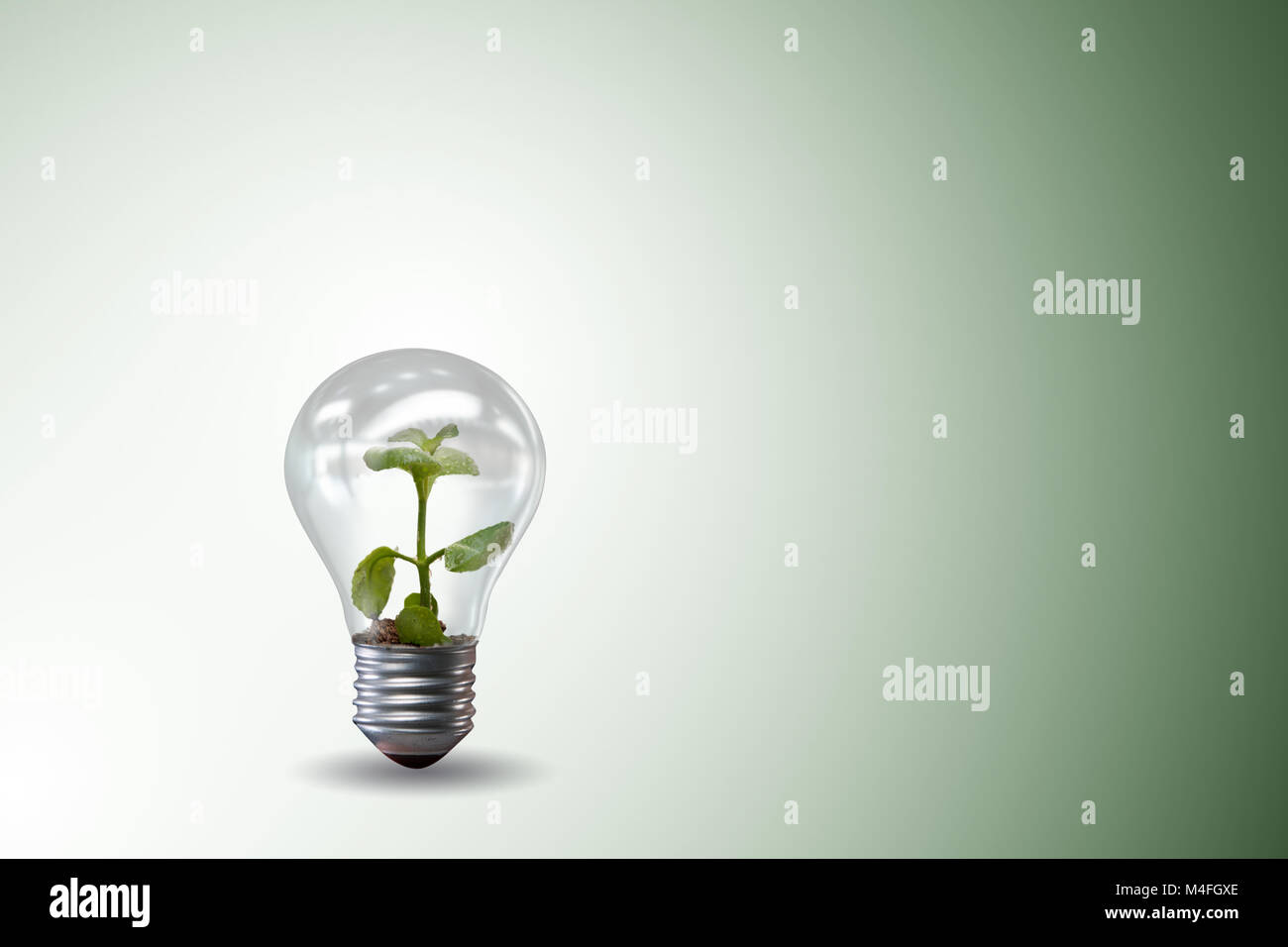 Light bulb in green environment concept - 3d rendering Stock Photo - Alamy