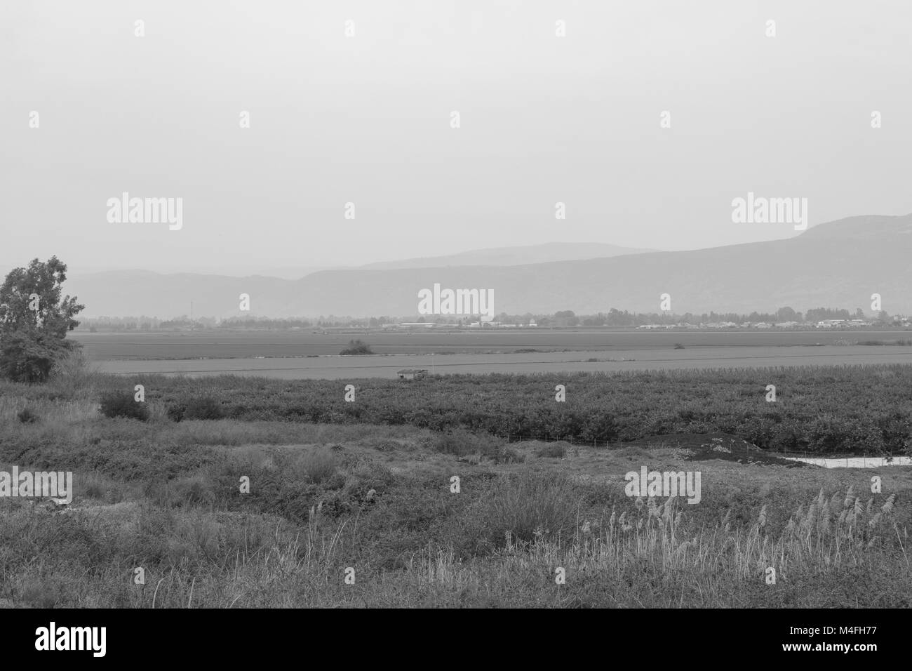 Hula valley galilee Black and White Stock Photos & Images - Alamy