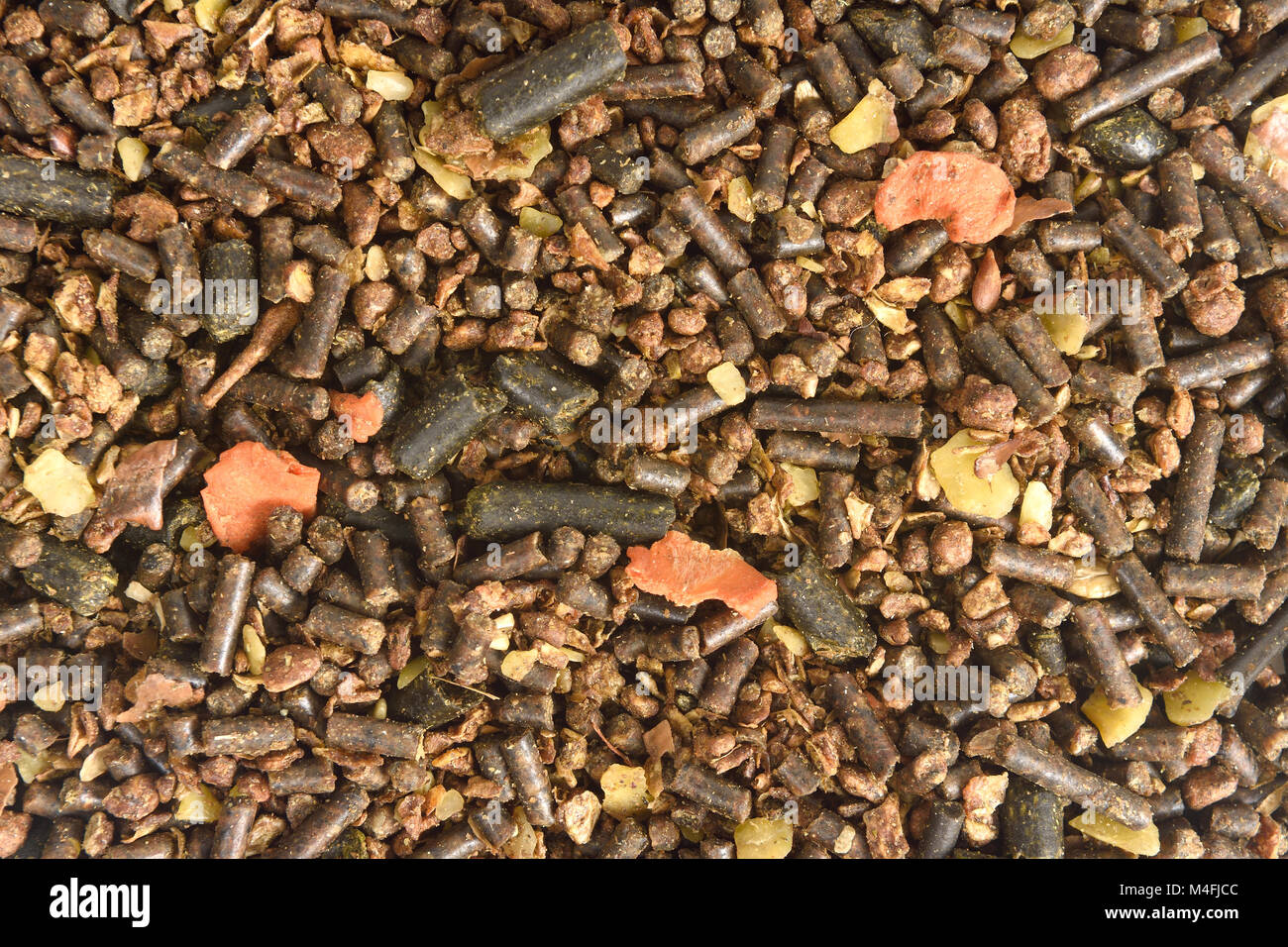 feed horse with lucerne sunflower wheat apple carrot and soybeans etc