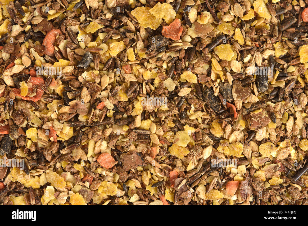 feed horse whith lax, barley, bean, wheat, girsasol, soy ,carrot Stock