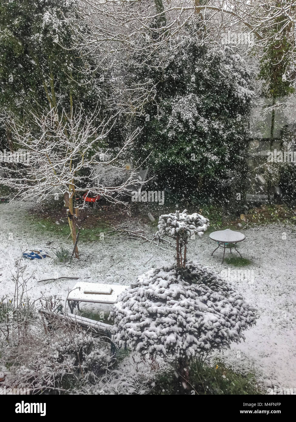 A light dusting of snow on trees and topiary in a Kent Country Garden