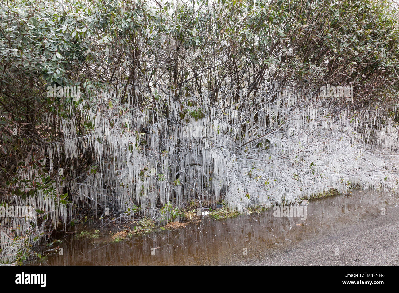Car splash puddle hi-res stock photography and images - Alamy