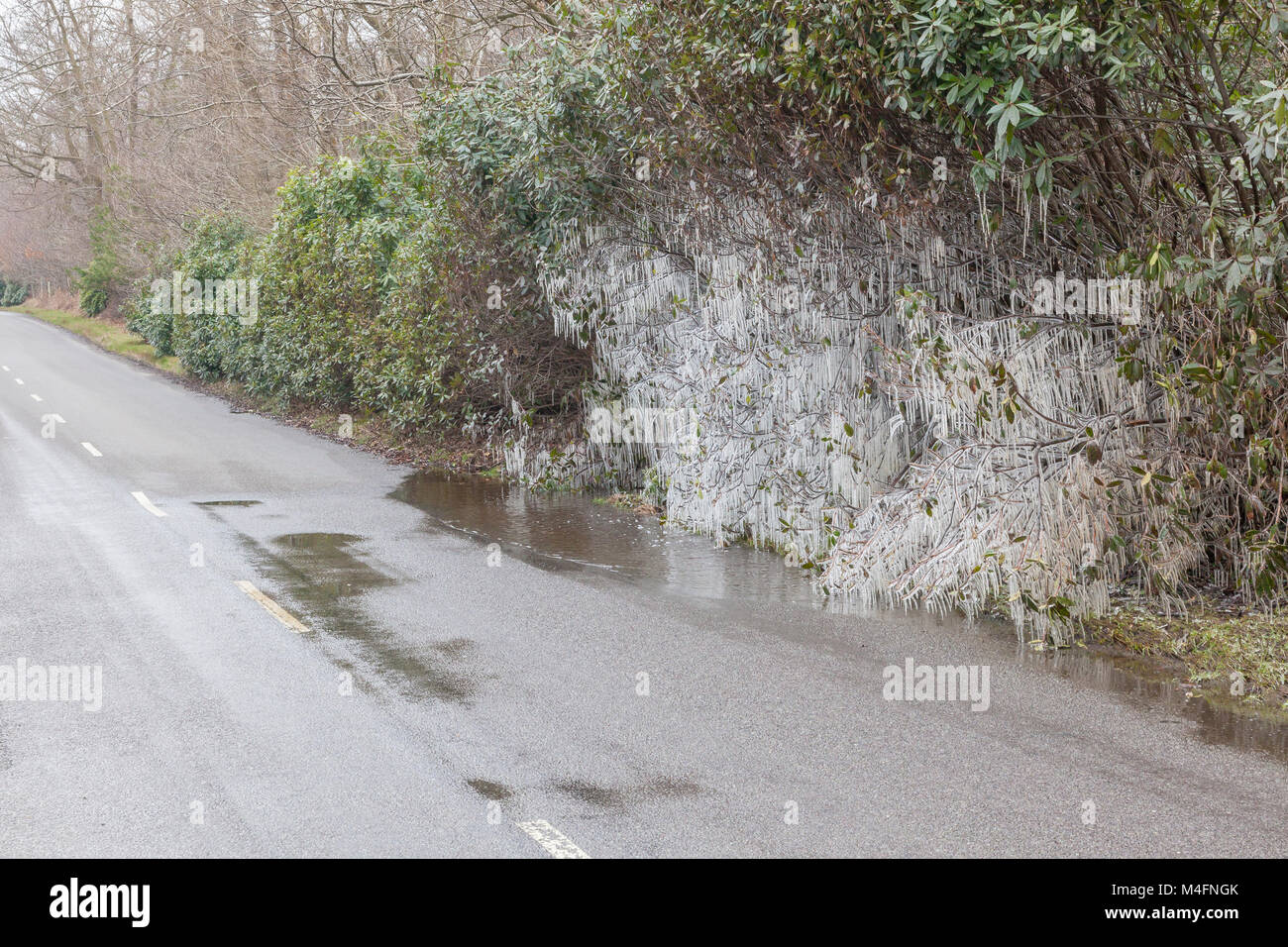 Cars passing through a puddle on a B road in the Ashdown Forest have