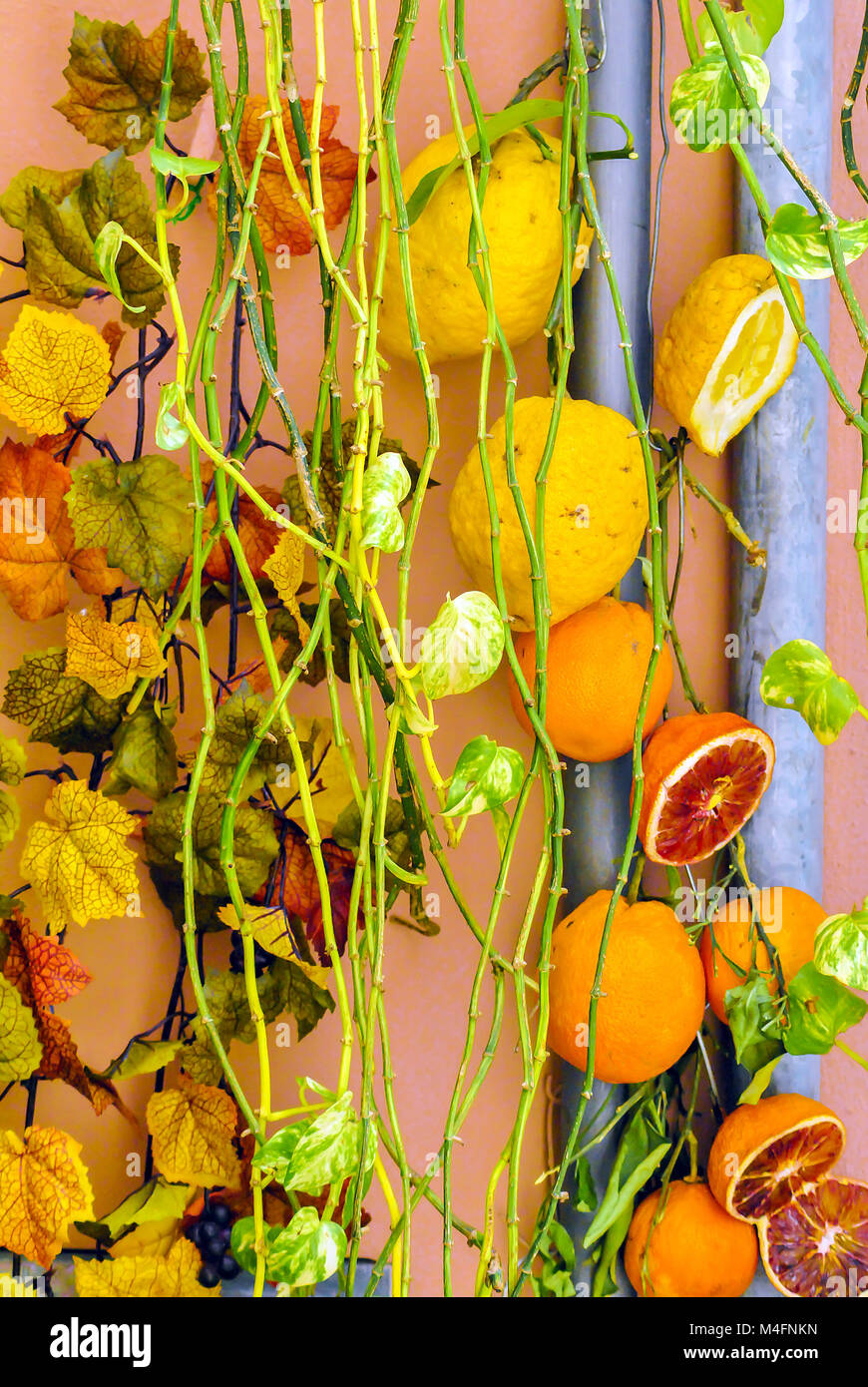 sliced oranges and lemons hanging from a wall Stock Photo - Alamy