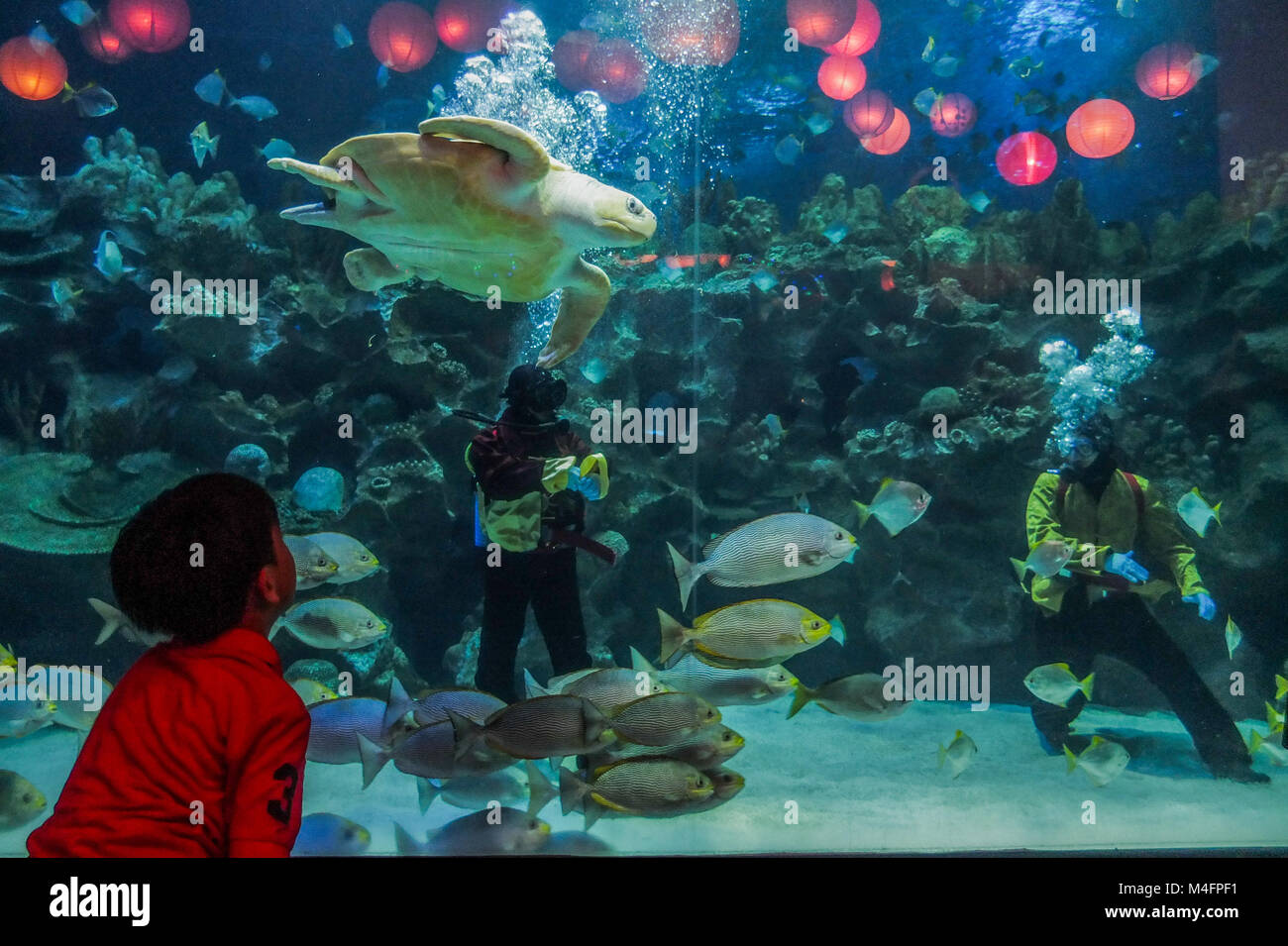 Kuala Lumpur, Malaysia. 16th Feb, 2018. A children watch a Kung Fu performances by professional diver inside the Aquaria KLCC during Chinese New Year celebration in Kuala Lumpur on February 16, 2018. The Chinese Lunar New Year on February 16 will welcome the Year of the dog (also known as the Year of the Earth Dog). Credit: Samsul Said/AFLO/Alamy Live News Stock Photo