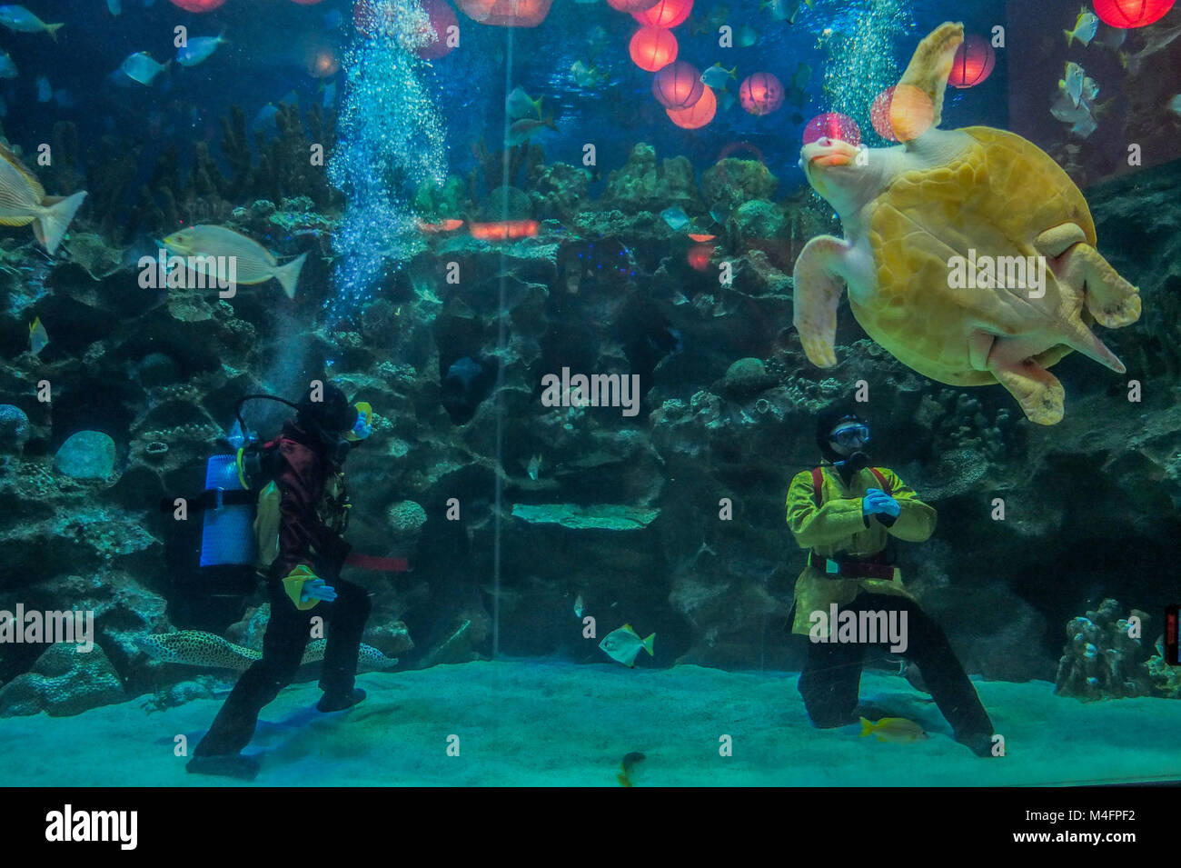 Kuala Lumpur, Malaysia. 16th Feb, 2018. A professional diver show a chinese Kung Fu performances inside the Aquaria KLCC during Chinese New Year celebration in Kuala Lumpur on February 16, 2018. The Chinese Lunar New Year on February 16 will welcome the Year of the dog (also known as the Year of the Earth Dog). Credit: Samsul Said/AFLO/Alamy Live News Stock Photo