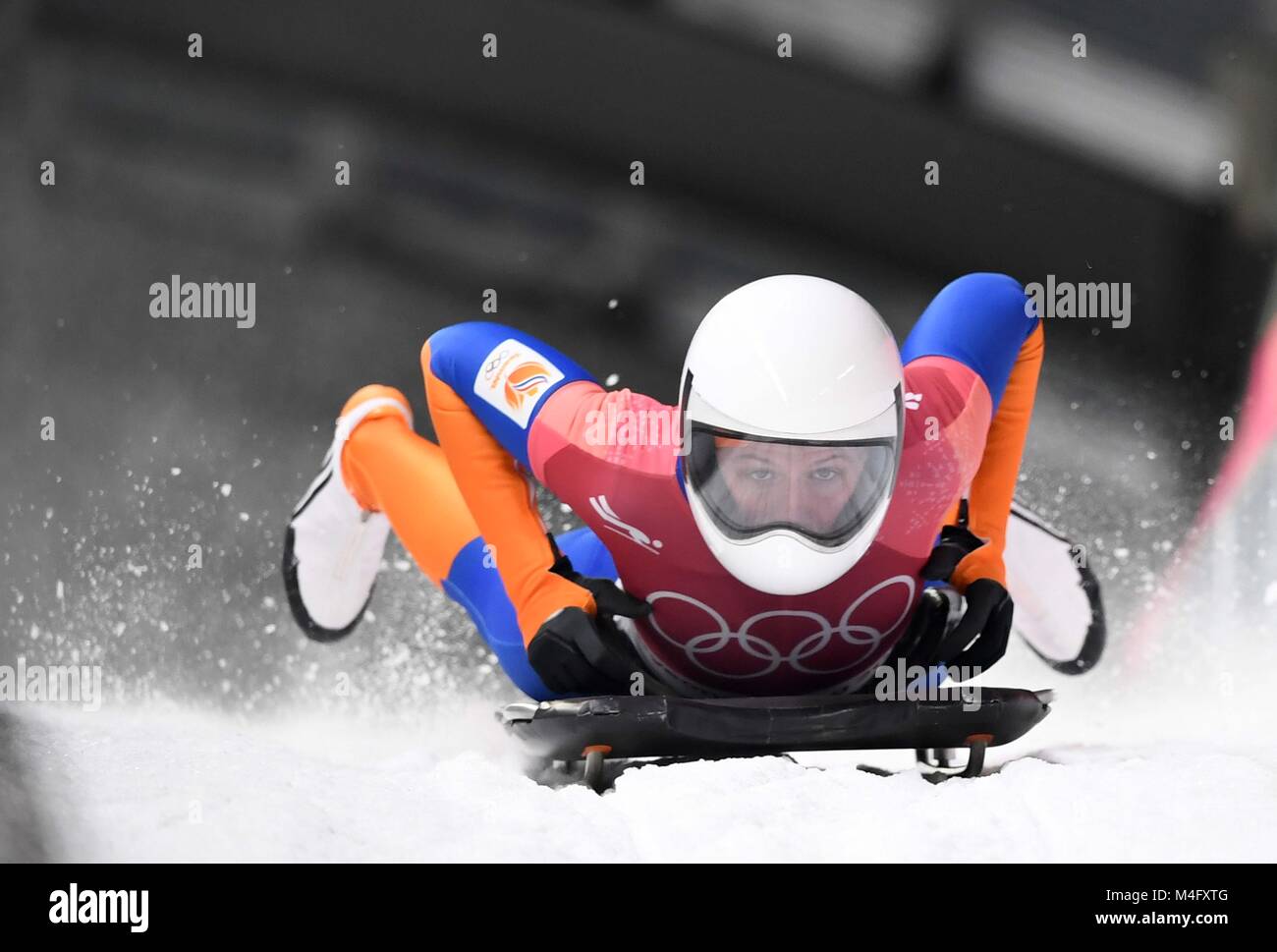 Kimberley Boss (NED). Womens skeleton. Alpensia sliding cemtre ...