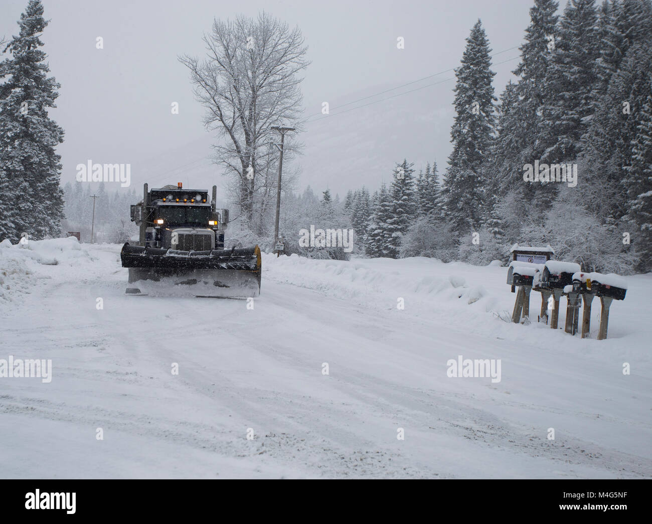 Snow event. Snow storm. A tandem axle Peterbuilt snow plow truck plowing the snow and sanding the road on the South Fork of Bull River Road, near the intersection of Highway 56, Bull Lake Road, in Sanders County, Montana. The road is located in a remote section of the Cabinet Mountains, about 20 miles north of Noxon, Montana. The area is being hit with heavy snow, coming in from the west. The storm should last several days. Stock Photo