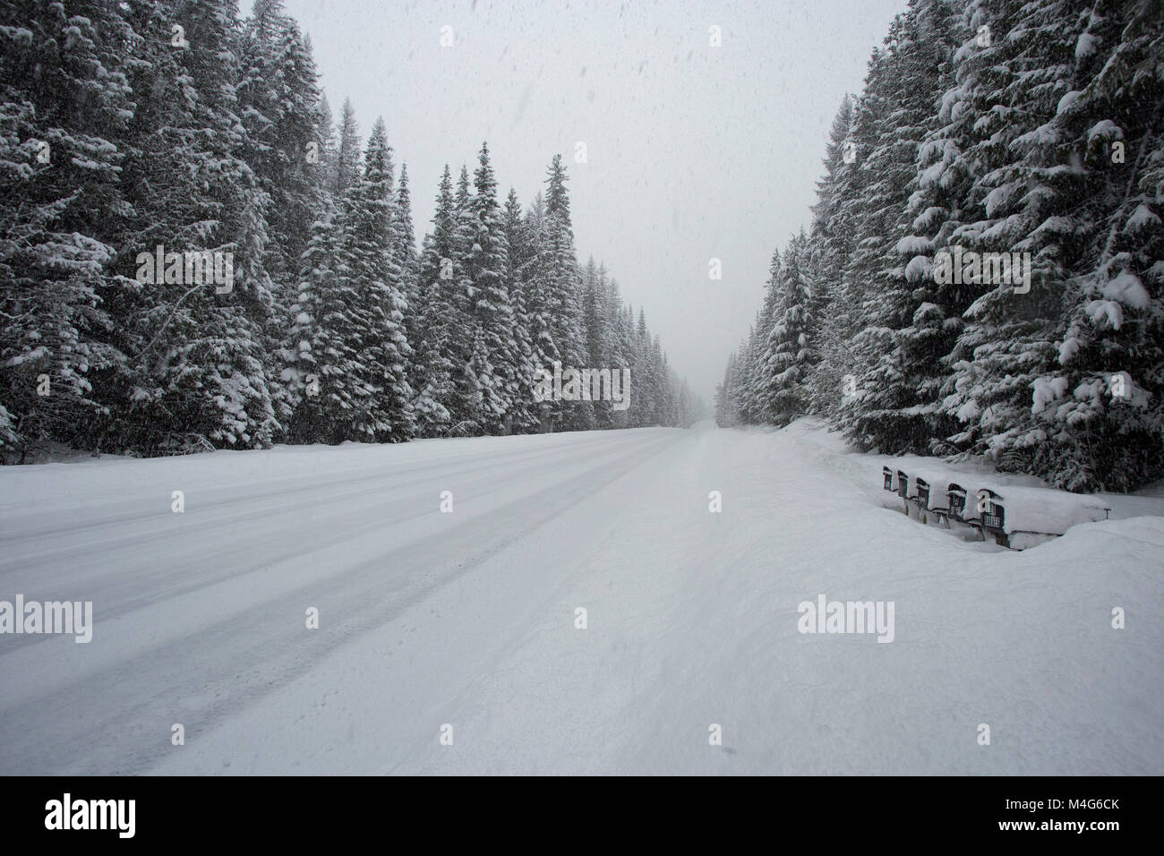 Driving in heavy snow blizzard usa hi-res stock photography and images ...