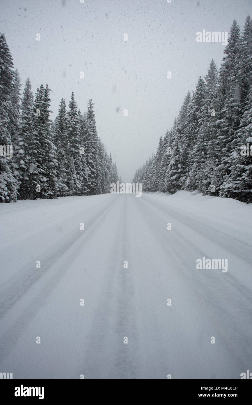 Driving in heavy snow blizzard usa hi-res stock photography and images ...