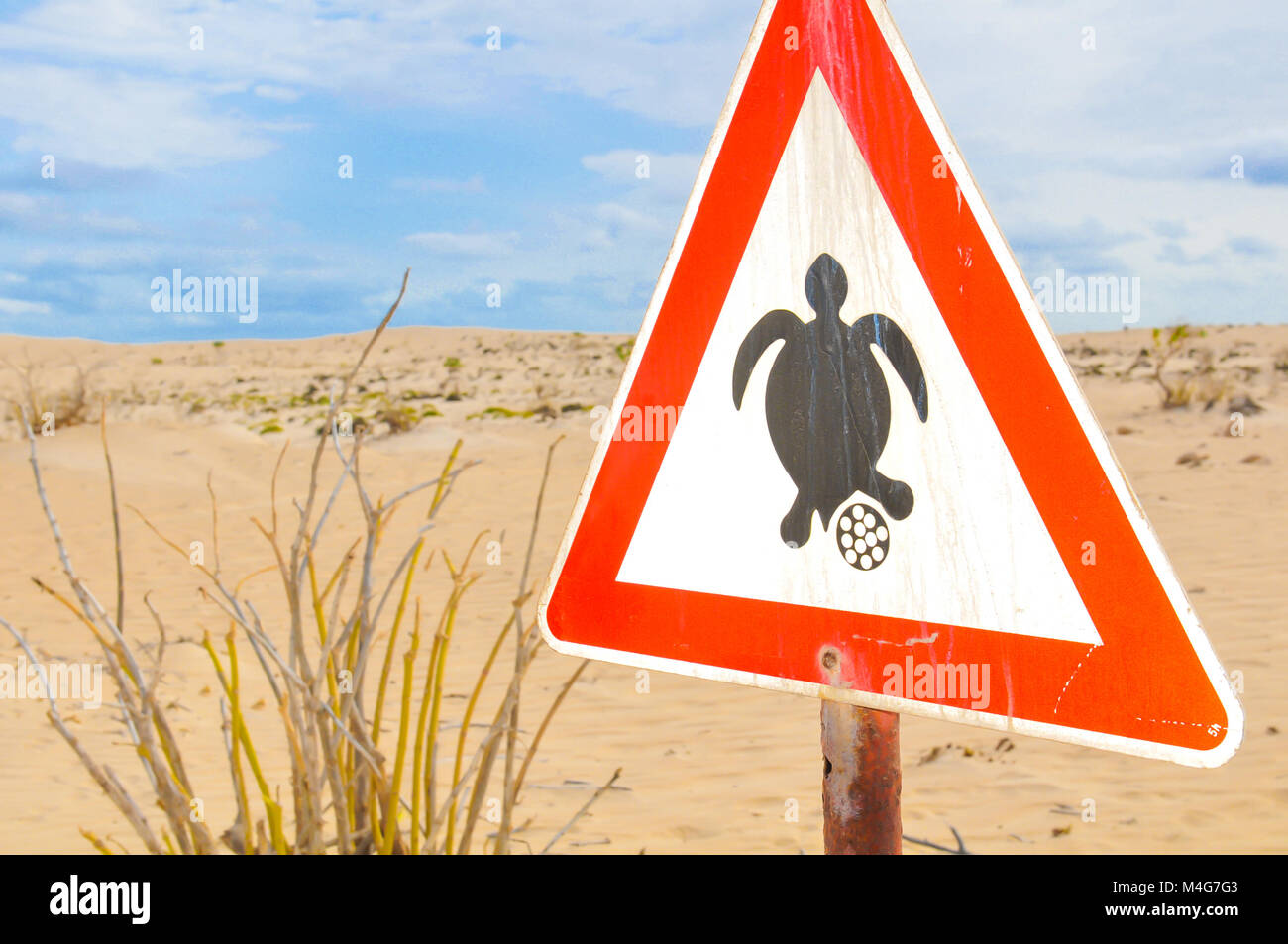 Sign warning tourists of the turtle nesting season Stock Photo