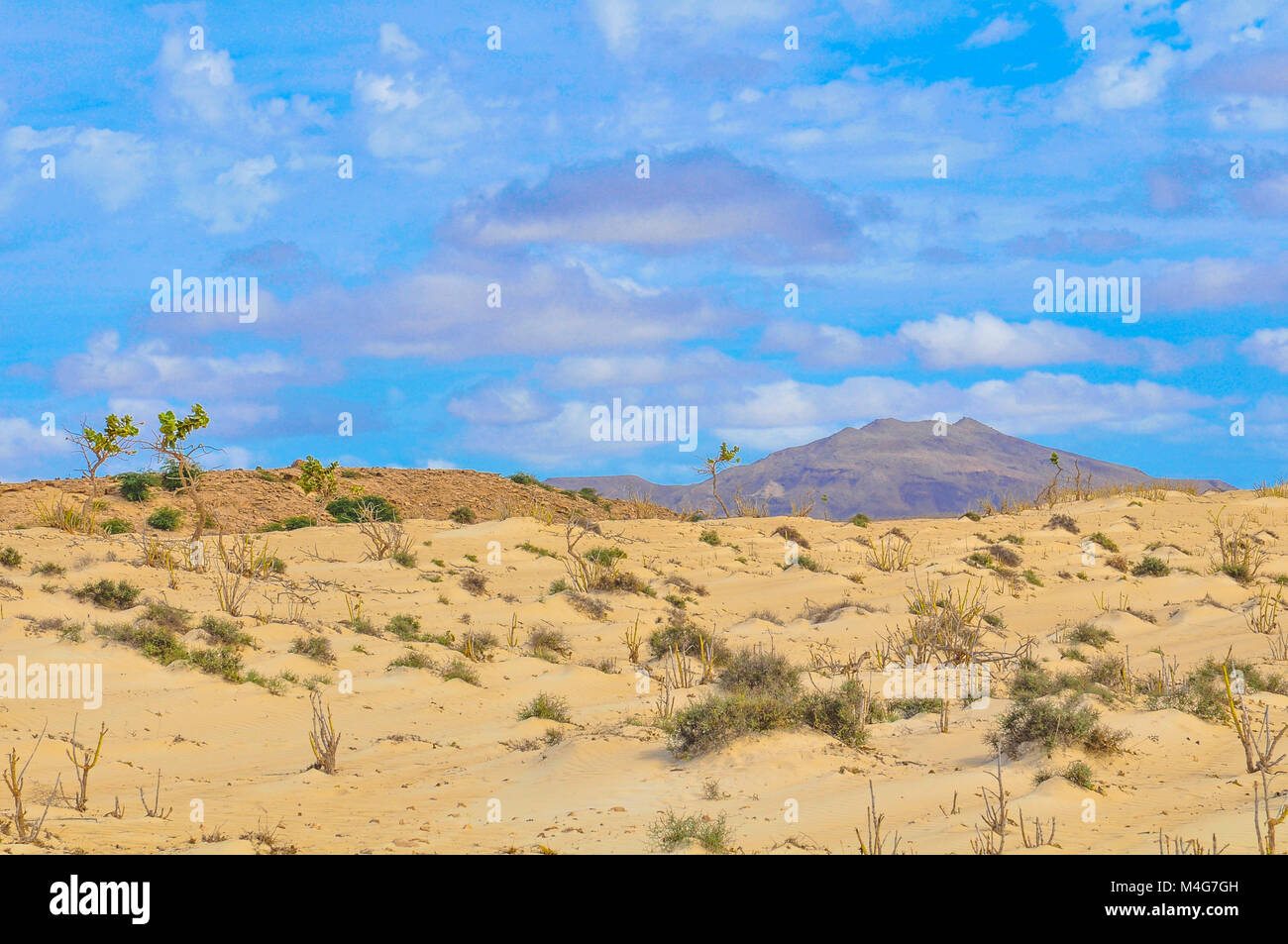 View of desert in Boa Vista, Cape Verde, Africa Stock Photo