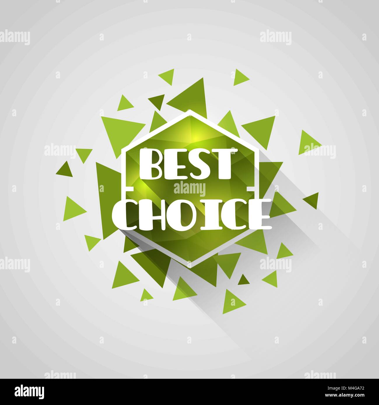 best choice green polygonal crystal tag with abstract triangle elements Stock Vector