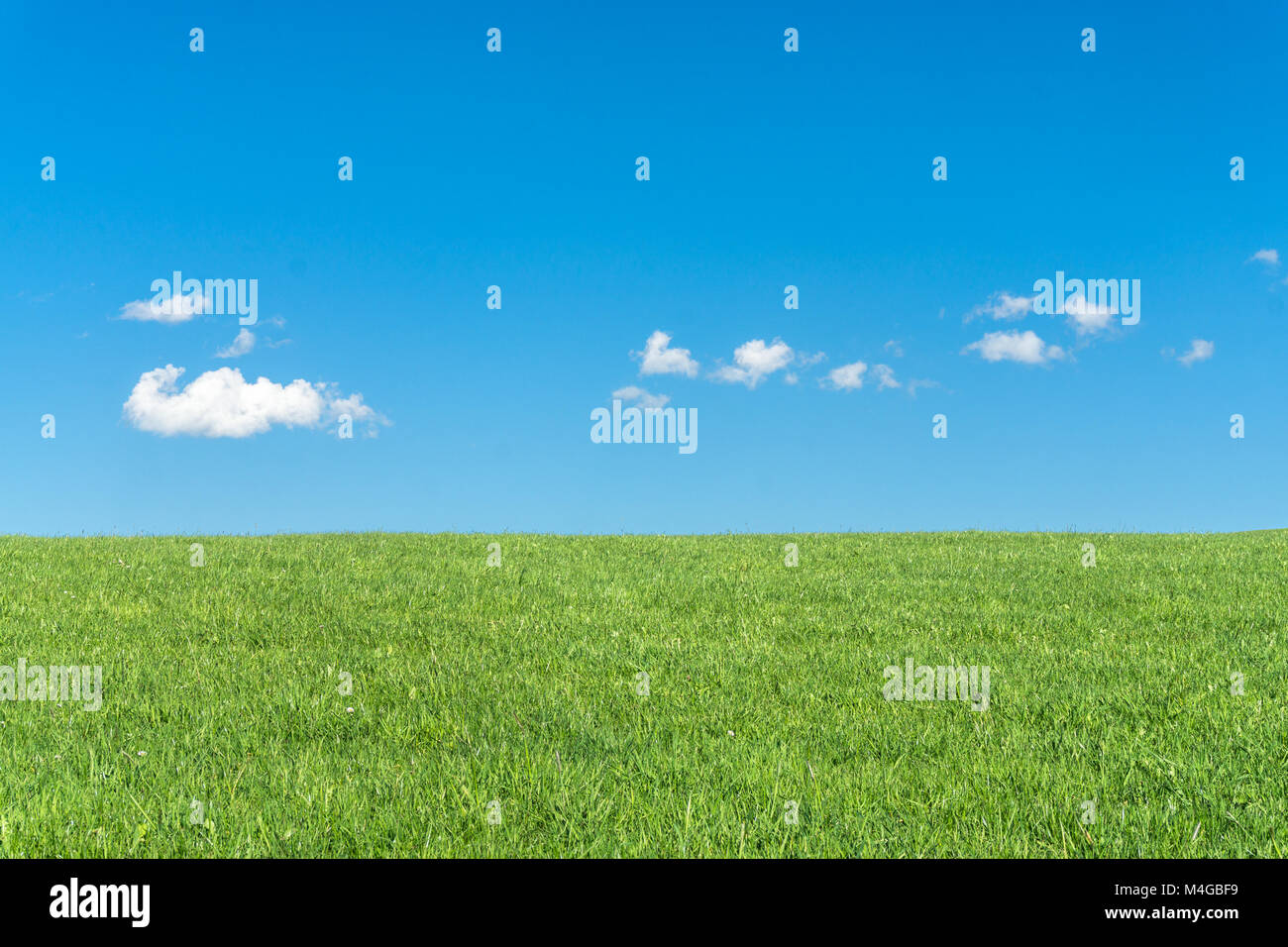 Green grass field with clear blue sky and white clouds Stock Photo - Alamy