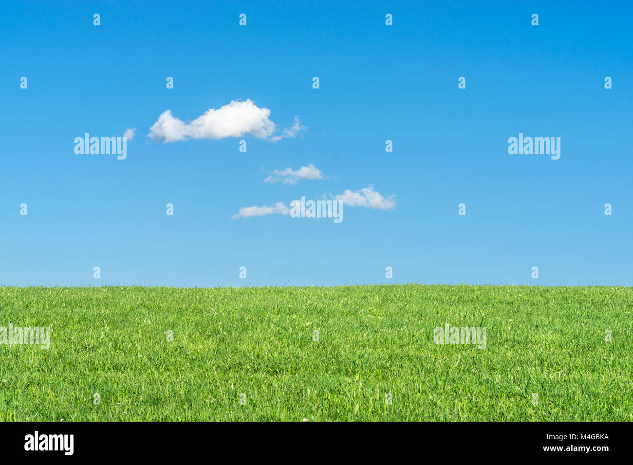 Green grass field with clear blue sky and white clouds Stock Photo