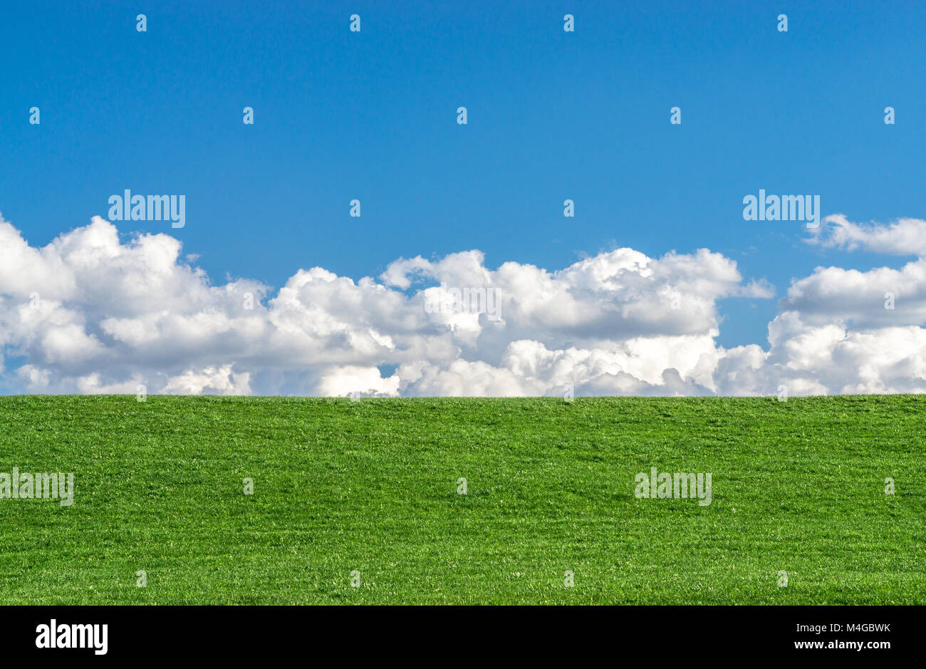 Green grass field with clear blue sky and white clouds Stock Photo - Alamy