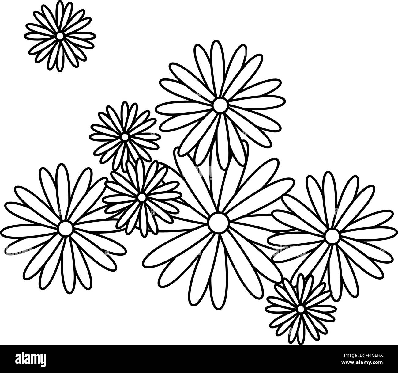 beautiful floral decoration frame Stock Vector Image & Art - Alamy