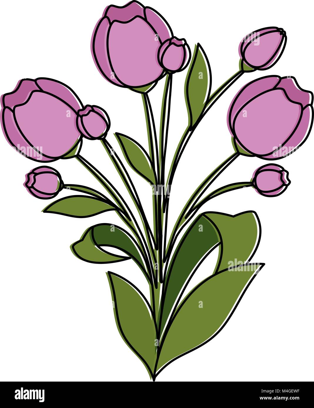 beautiful roses decorative icon Stock Vector Image & Art - Alamy