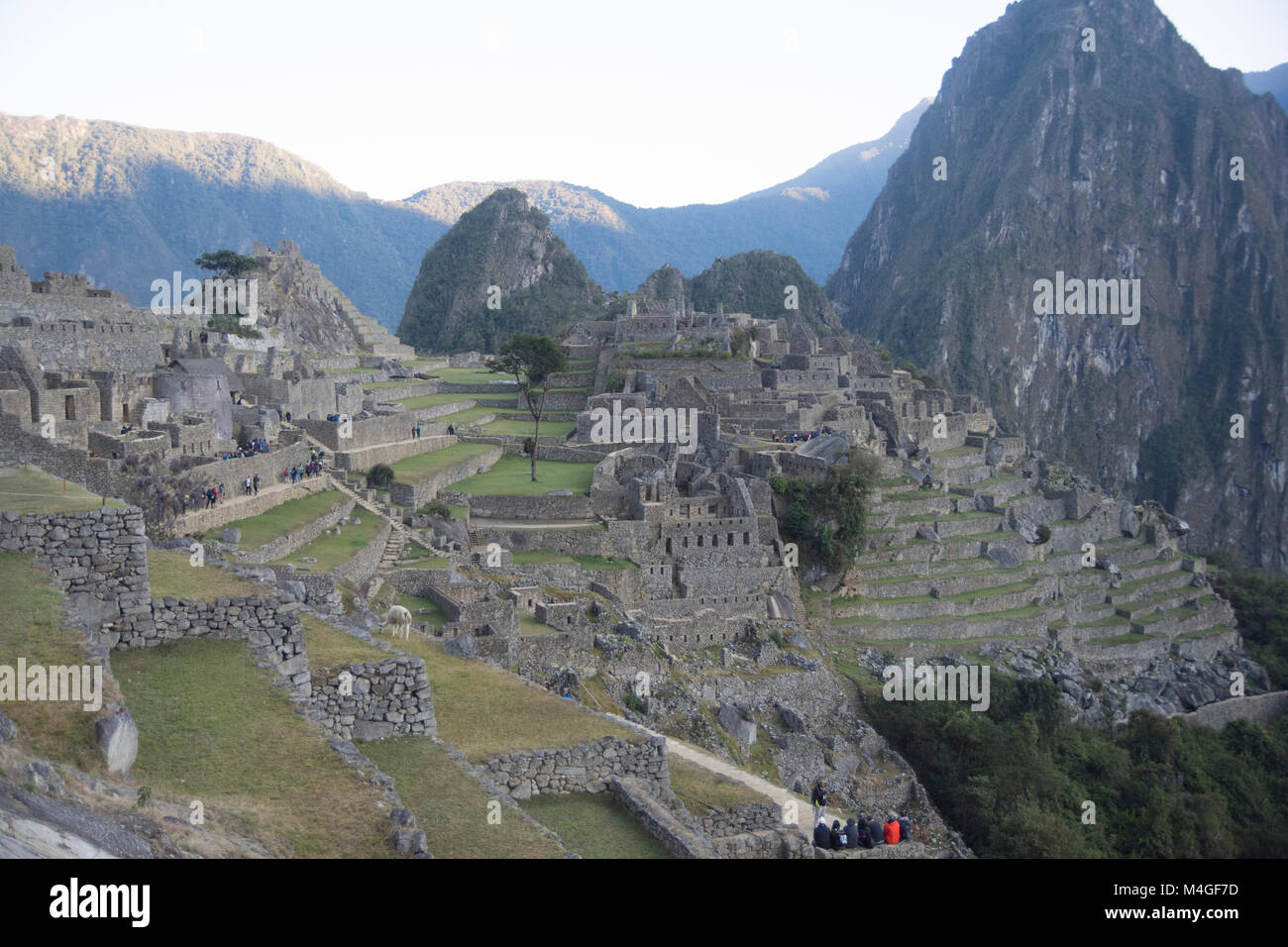 Ruins of Machu Picchu city in the morning, Peru Stock Photo