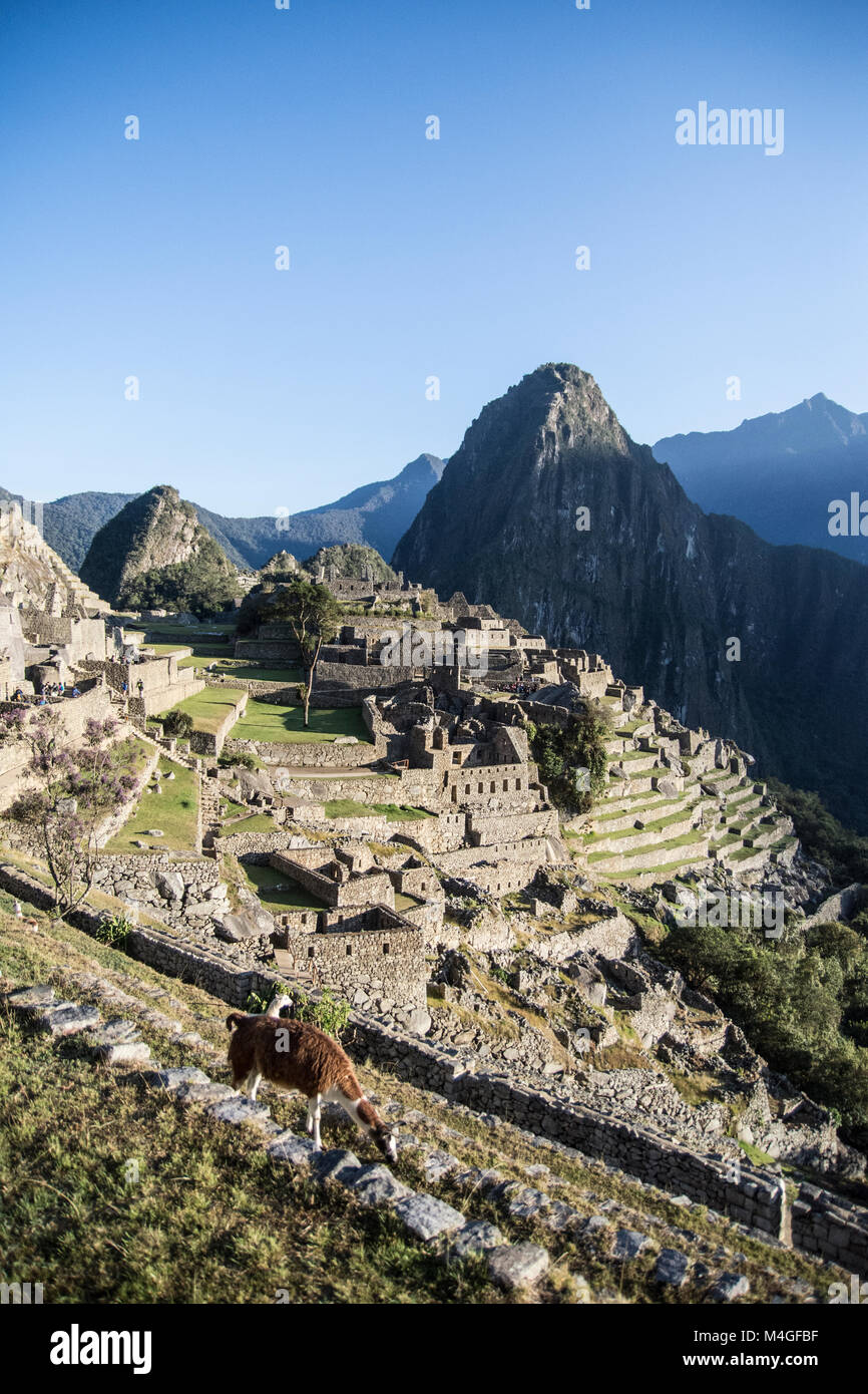 Ruins of Machu Picchu city in the morning, Peru Stock Photo