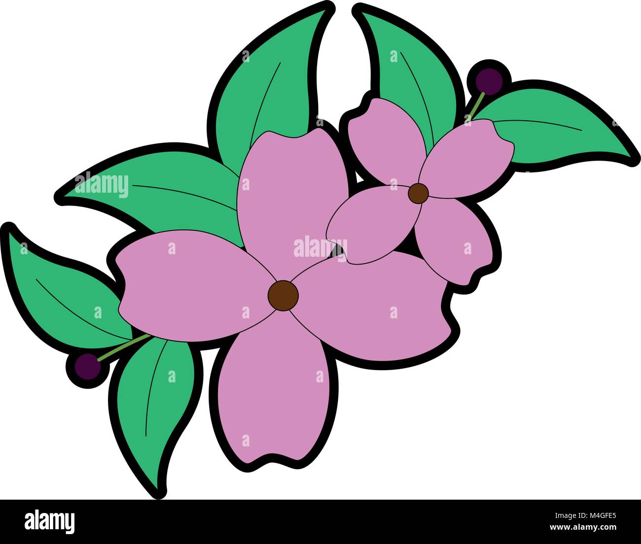 beautiful floral decoration frame Stock Vector Image & Art - Alamy