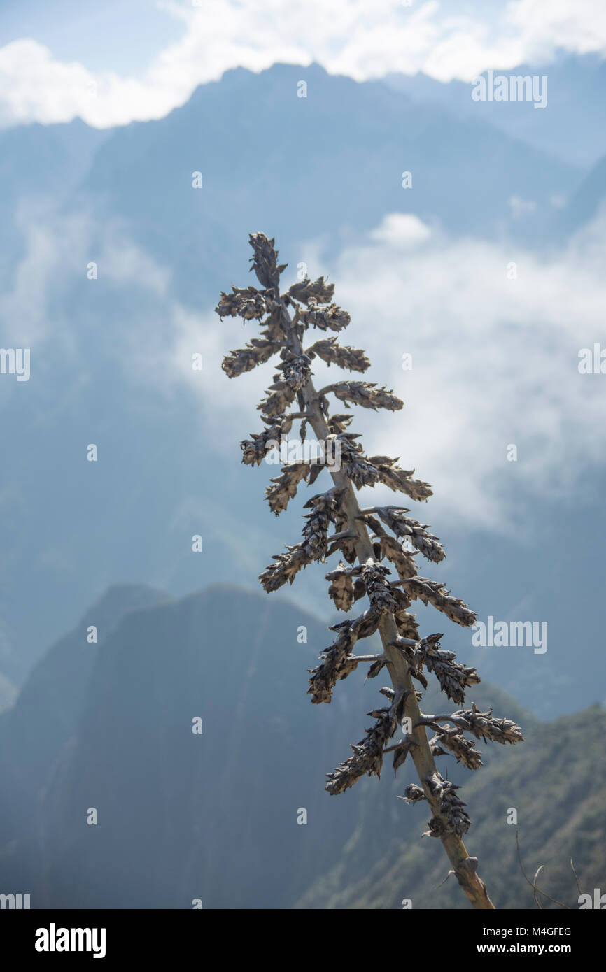 Andes mountains, Peru Stock Photo