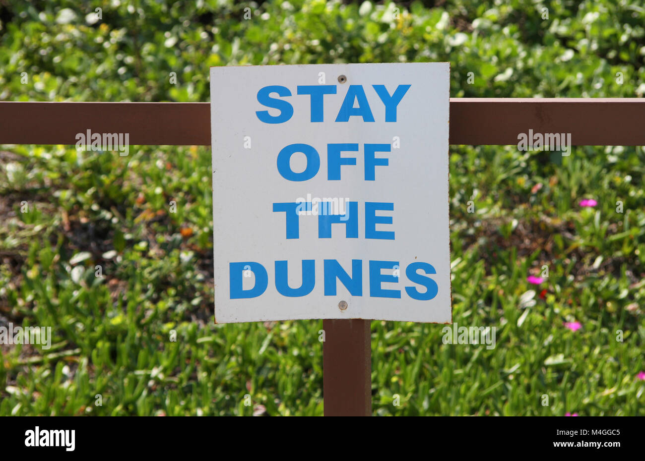 Stay off the Dunes Sign, Marina Beach, Margate, Kwazulu Natal, South Africa Stock Photo
