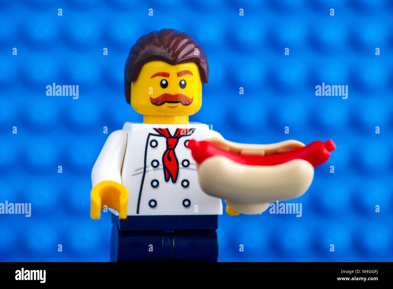 Tambov, Russian Federation - February 05, 2018 Lego chef with hot dog against blue baseplate background. Studio shot. Stock Photo