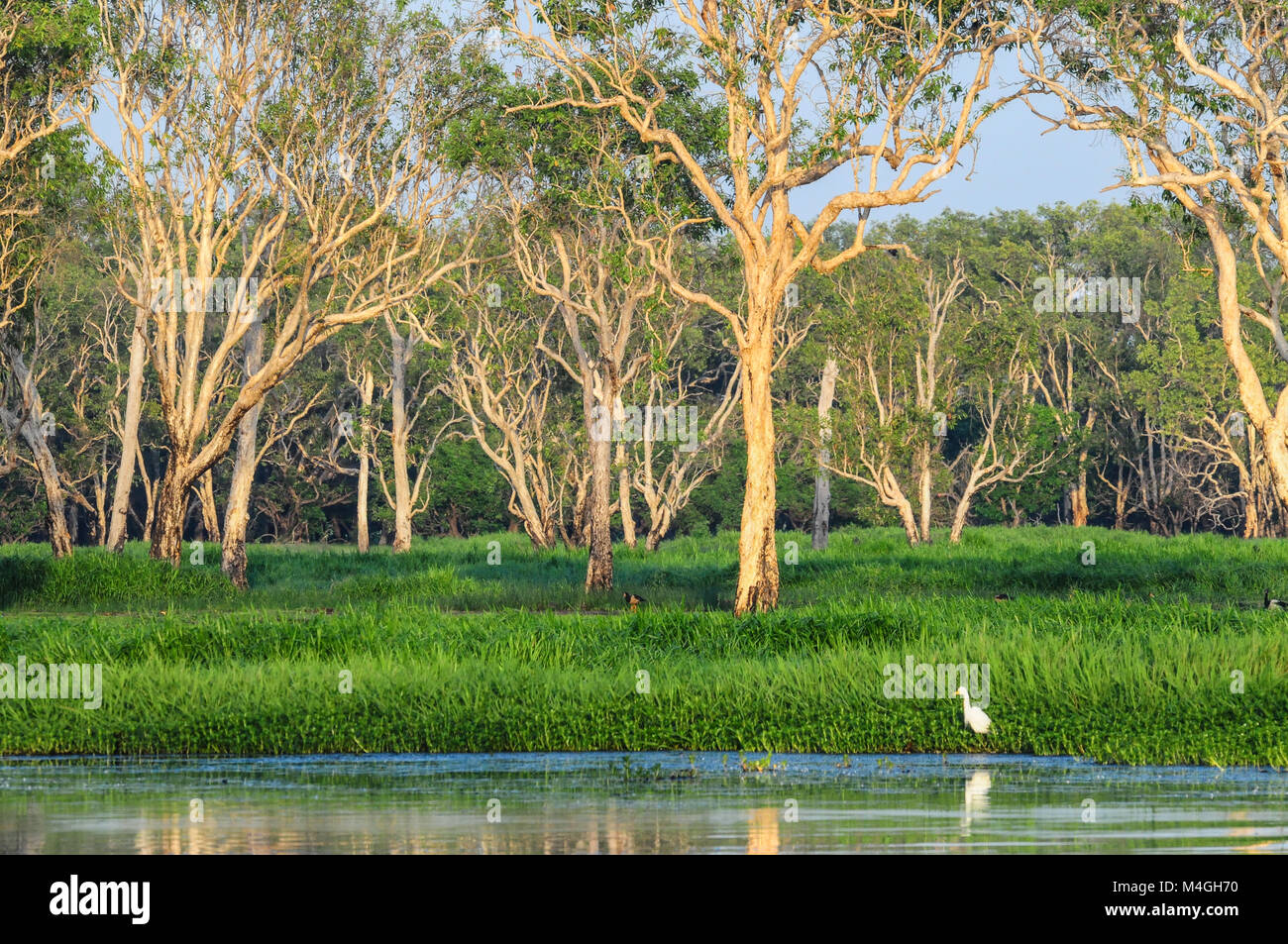 Yellow Water Billabong the heart of Kakadu National Park offering a ...