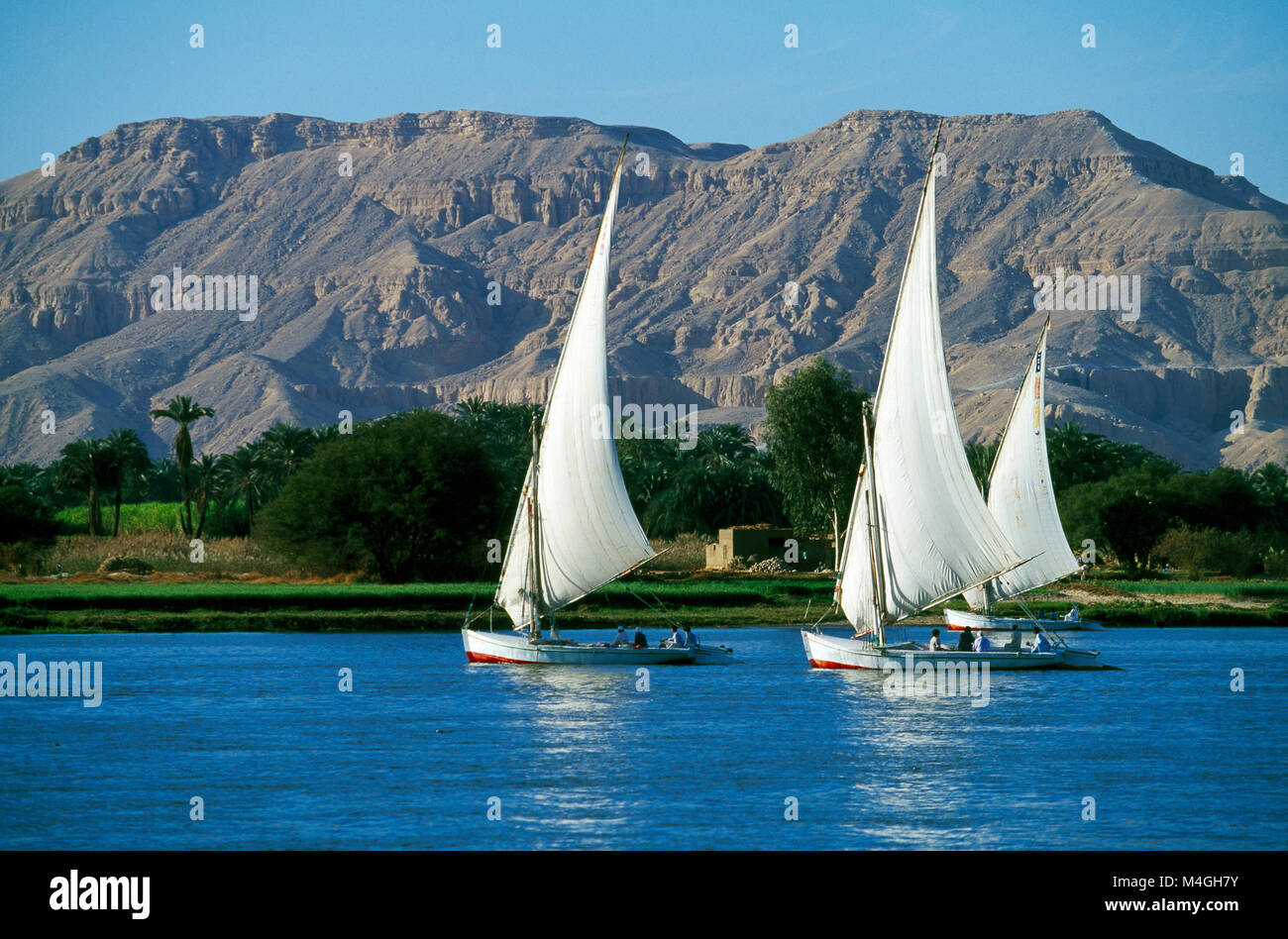 Feluccas on River Nile near Aswan, Egypt Stock Photo - Alamy