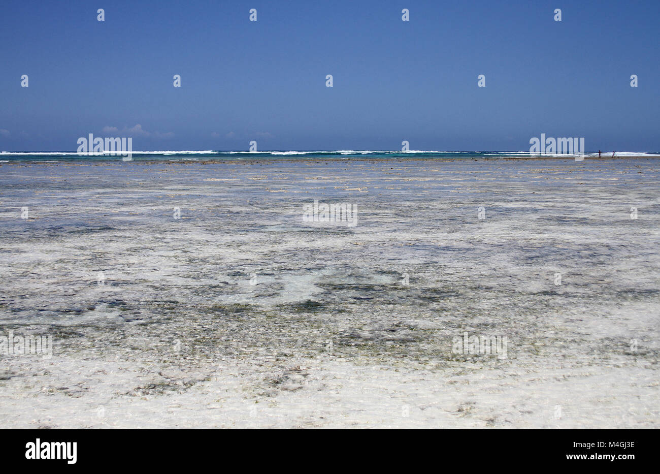 Kiwengwa beach at high tide, Zanzibar, Tanzania Stock Photo