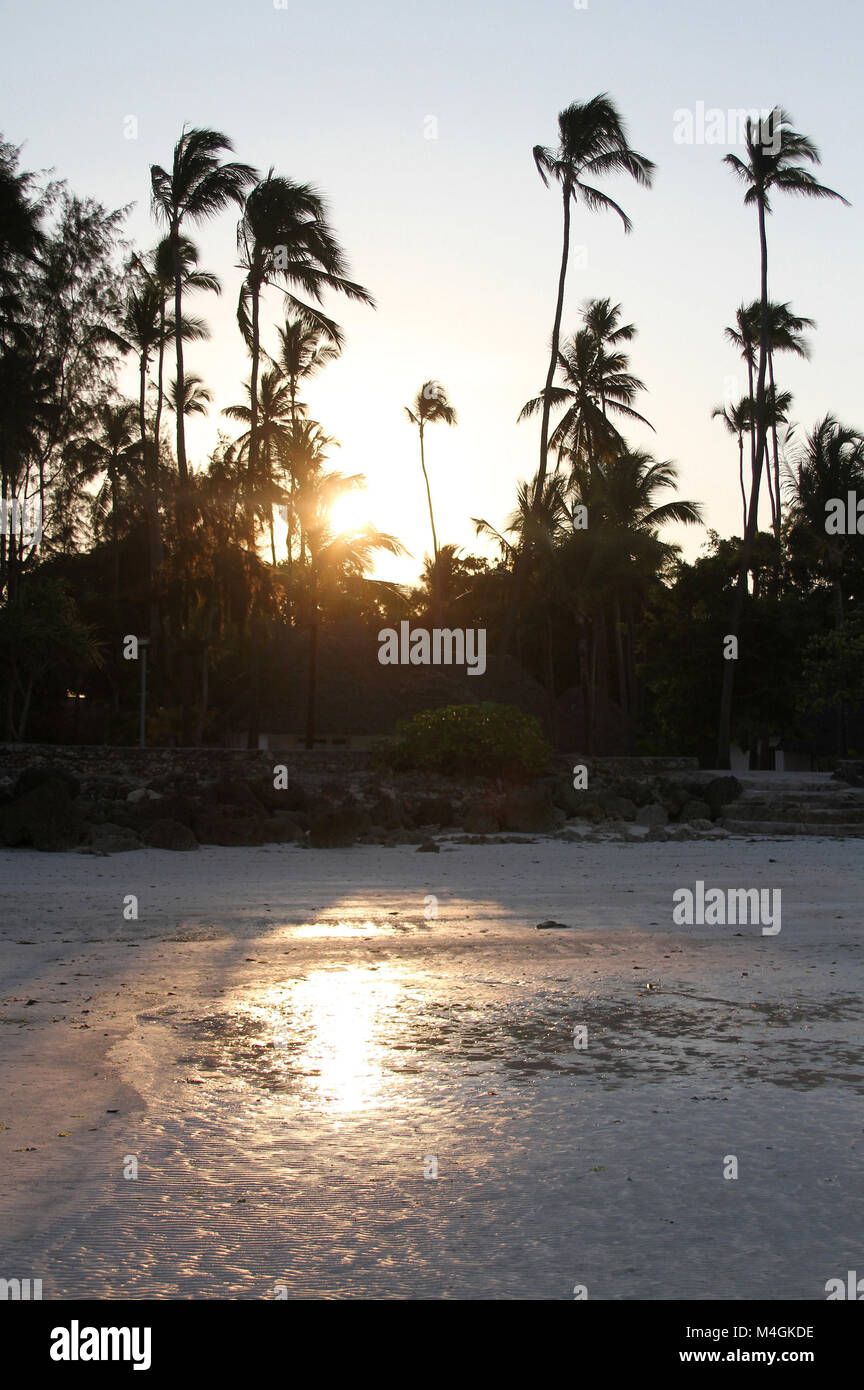 Resort and Palm trees at sunset, Kiwengwa beach, Zanzibar, Tanzania Stock Photo