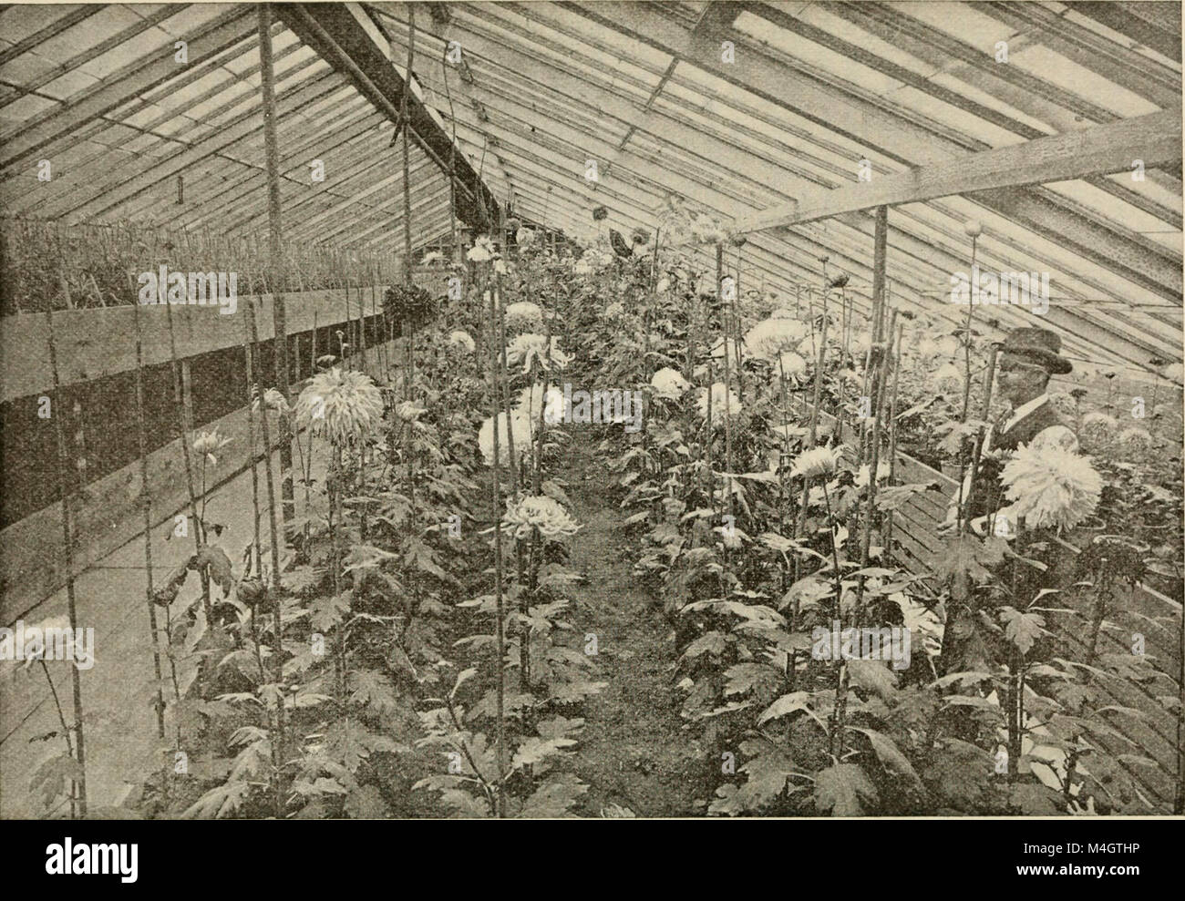 Gallery image with a fresh perspective