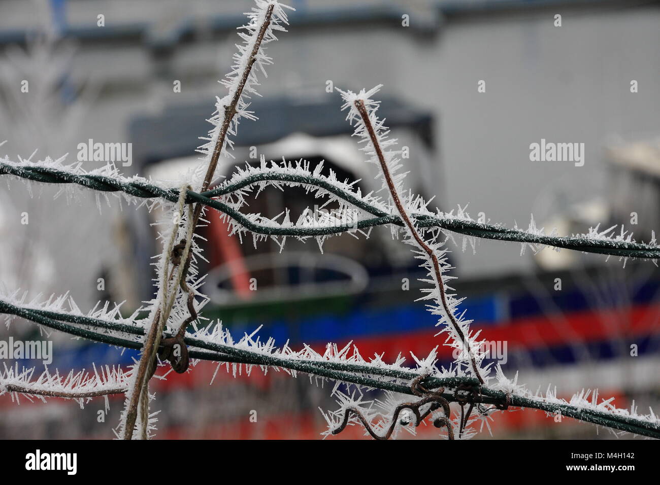 Ice needles at a fence Stock Photo