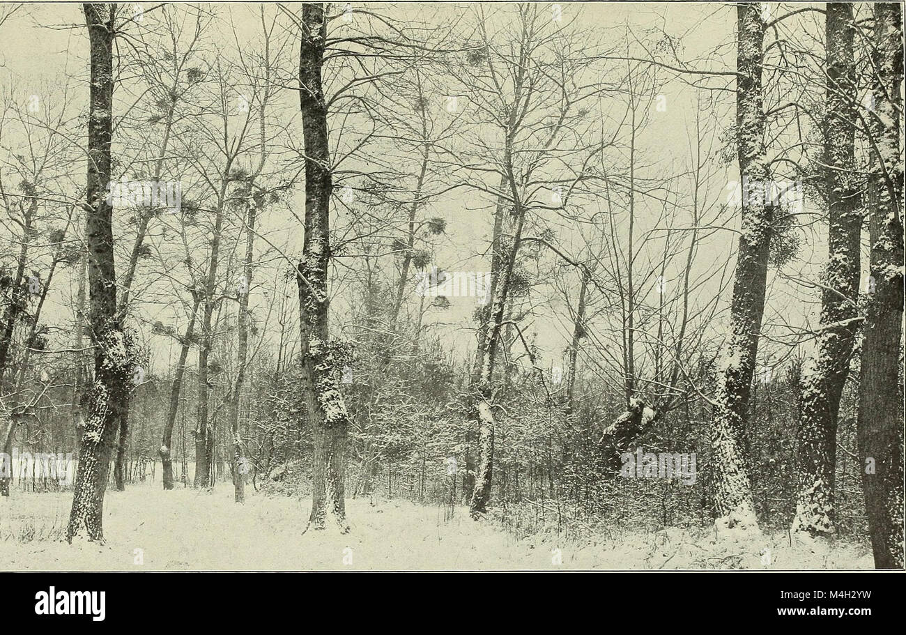 The 1898 Annual Report of the Commissioners of Fisheries, Game, and ...