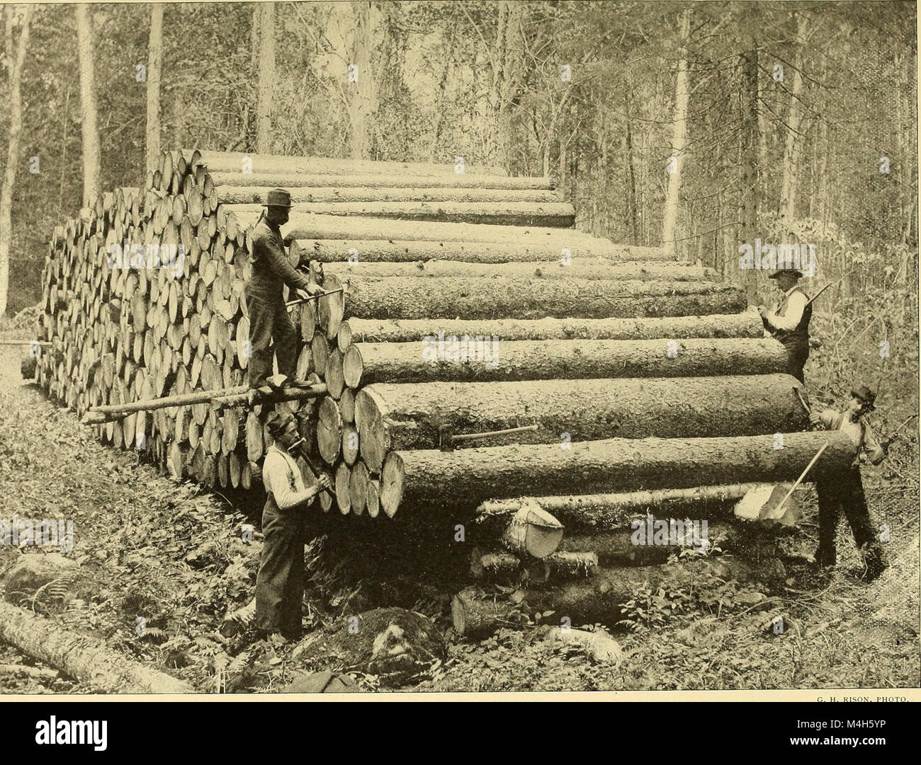 The 1899 Annual Report of the Forest, Fish and Game Commission of New ...