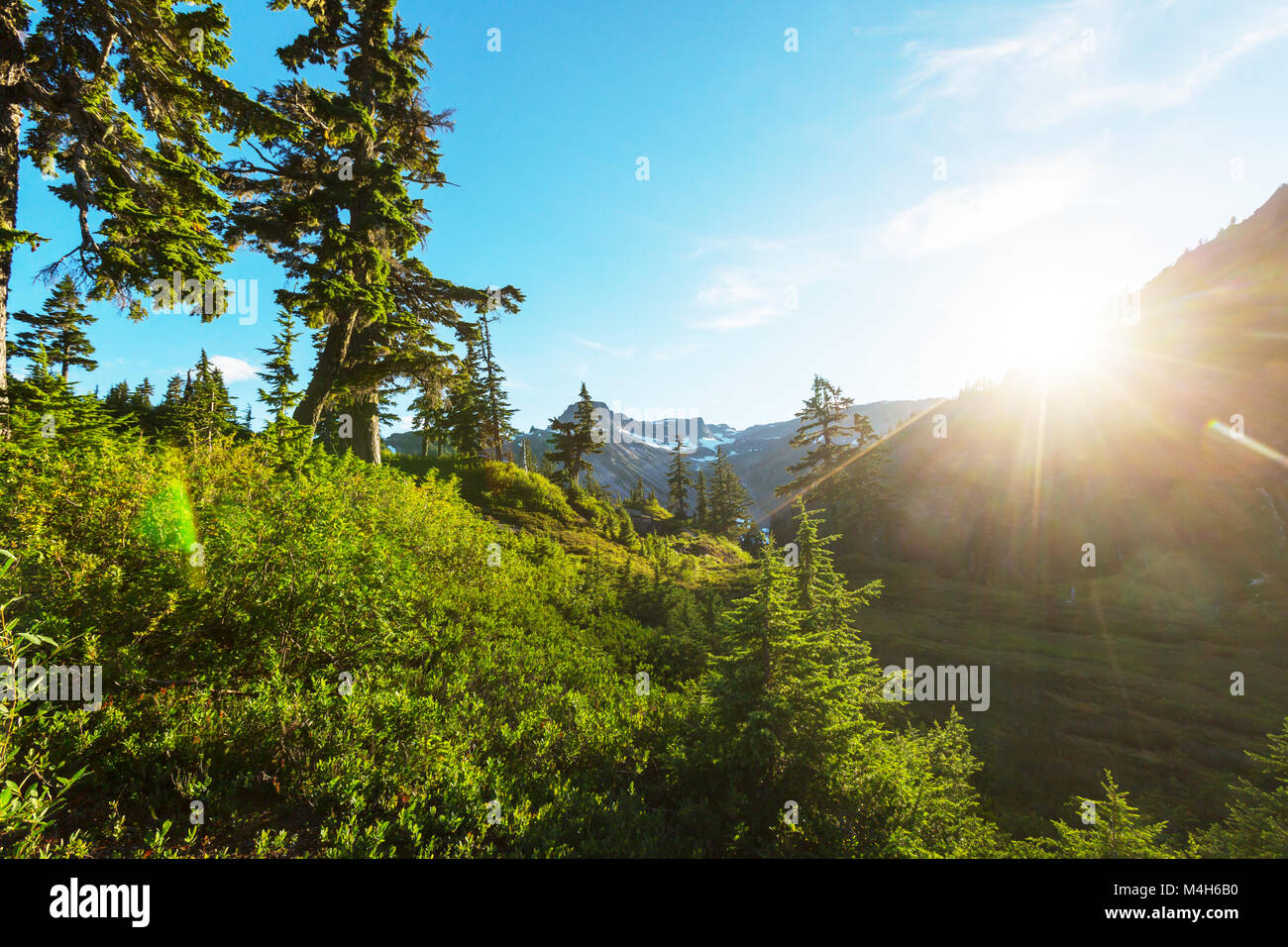 Mt Baker Area Stock Photo Alamy