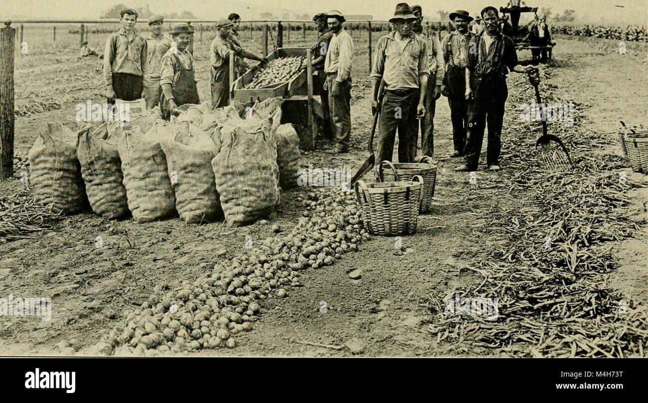 The 1915 annual report of the Massachusetts State Board of Agriculture ...