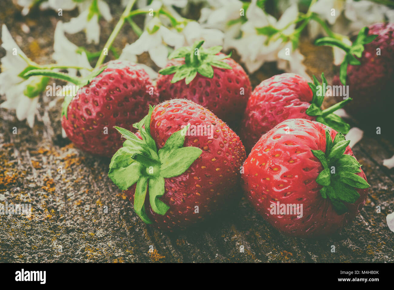 Fresh red strawberry Stock Photo - Alamy