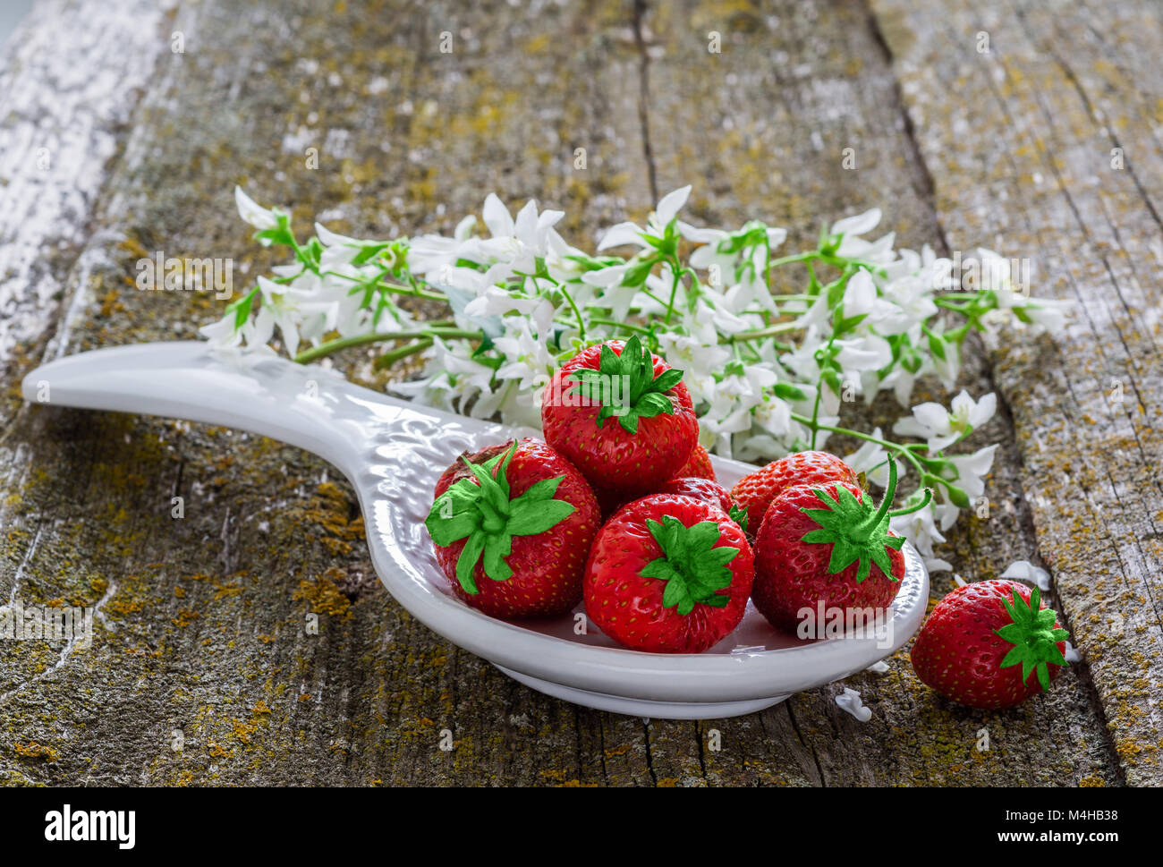 Still life with red strawberries Stock Photo - Alamy