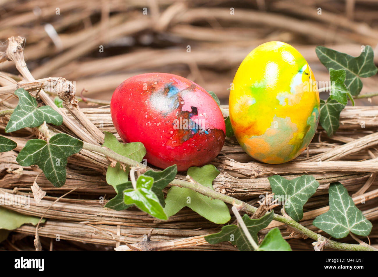 Two Easter hen eggs in a natural nest Stock Photo