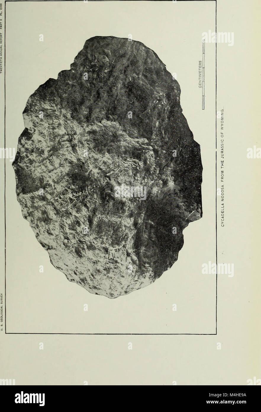 The 1898 Annual Report of the United States Geological Survey provides ...