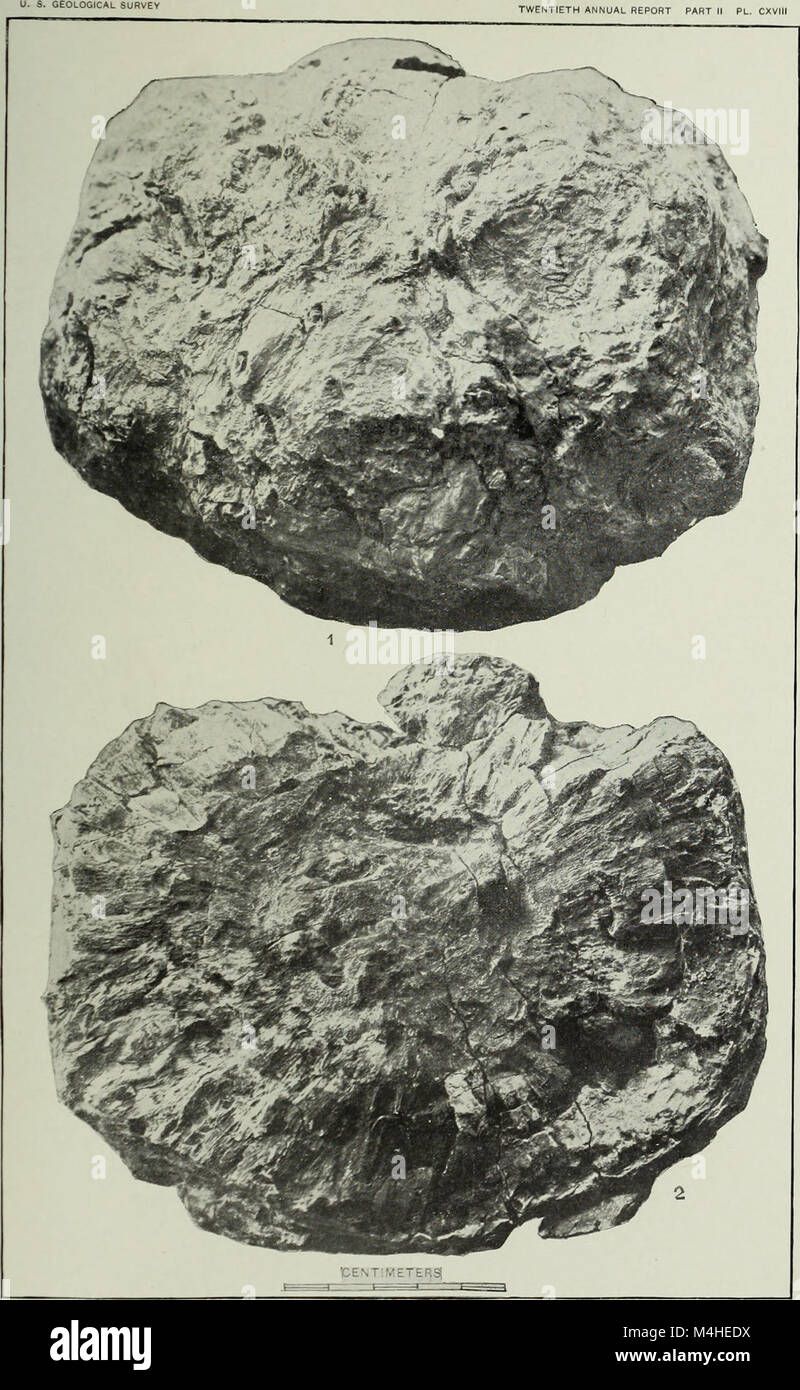 This report provides an overview of the geological survey conducted by ...