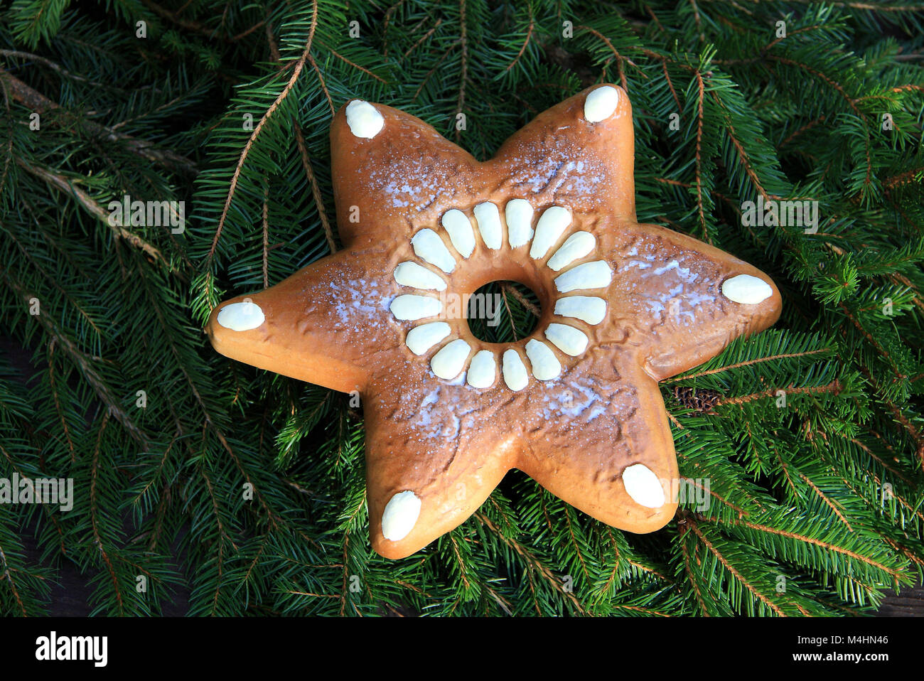 Gingerbread star Stock Photo