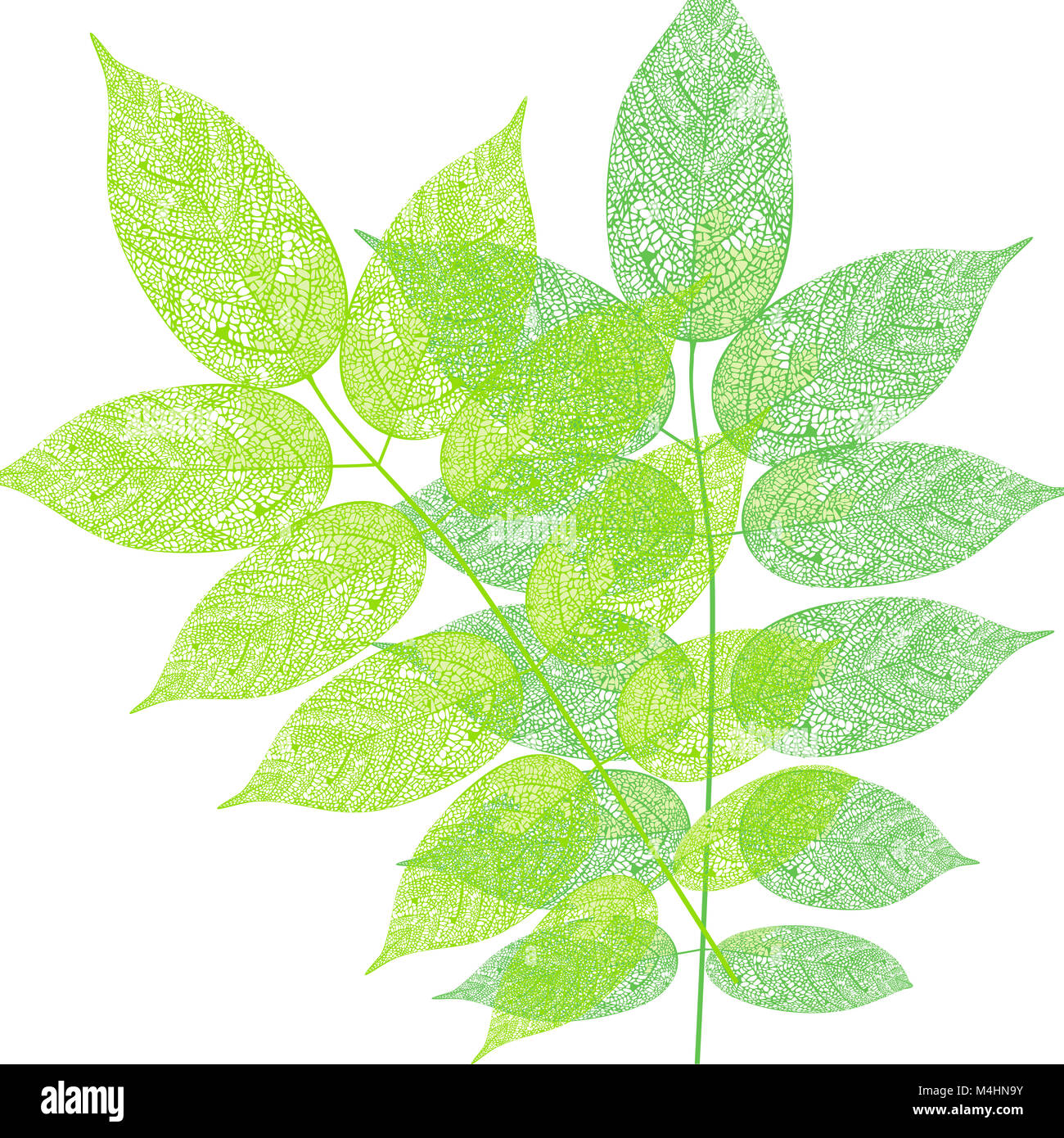 Tree leaves pattern illustration Stock Photo
