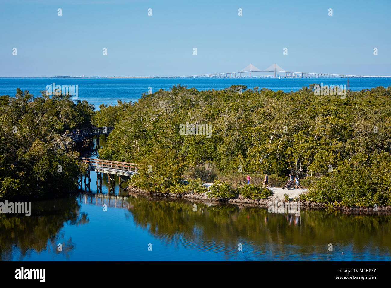Trails in Robinson Preserve with the Sunshine Skyway bridge over Tampa Bay in the background Stock Photo