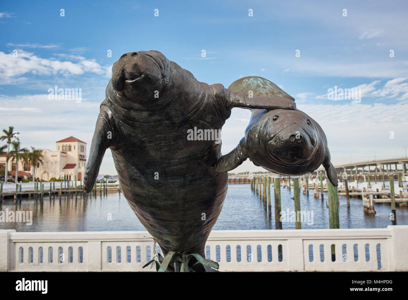 Manatee Sculpture at the Bradenton Riverwalk, Florida Stock Photo - Alamy