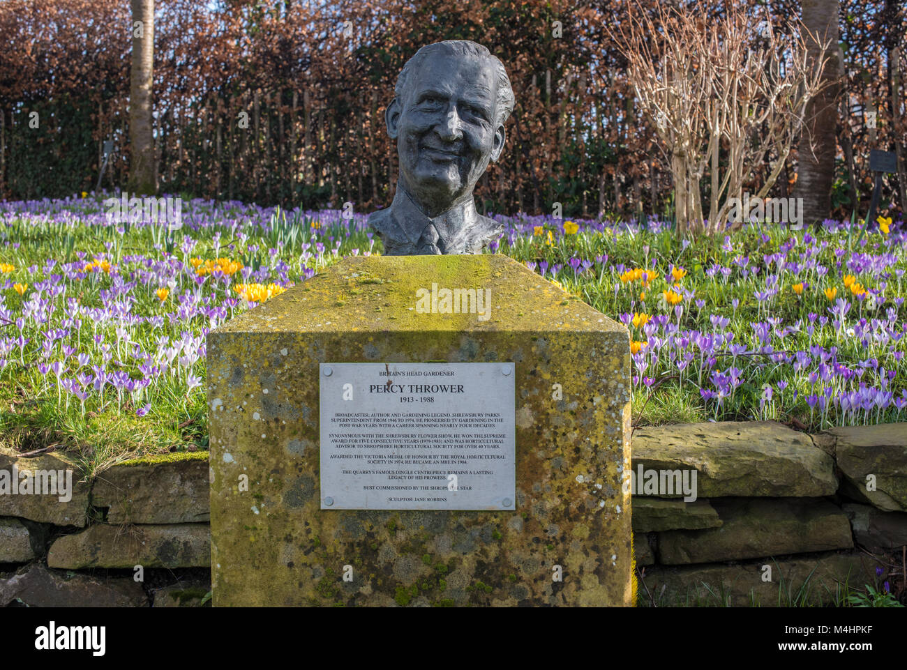 British Gardener Percy Thrower statue in the beautiful Quarry garden in Shrewsbury, Shrophire. Stock Photo